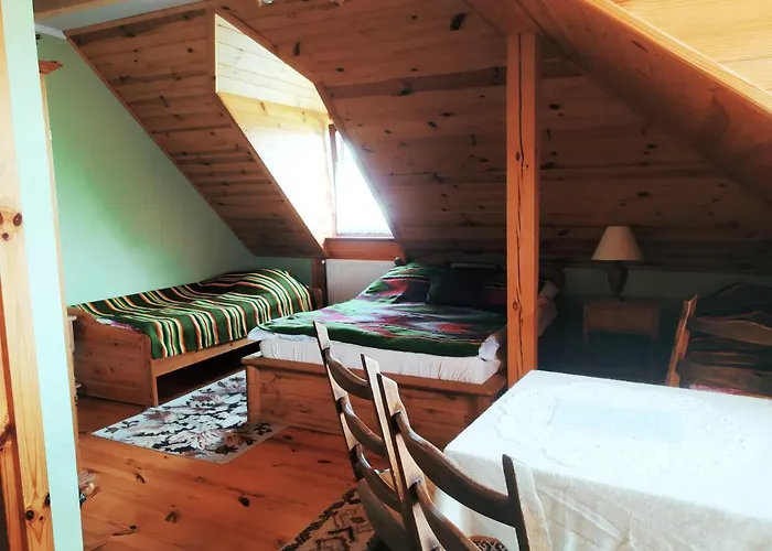 Borsuki Pod Lipa * Sarnaki