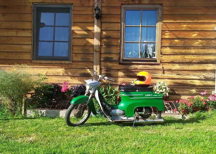 Borsuki Pod Lipa Sarnaki